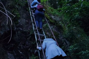 IMG-20230522-WA0003(1)_600x800