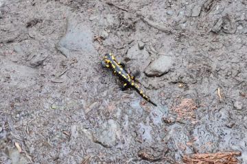 IMG-20230522-WA0005(1)_600x800